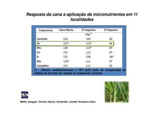 Resposta da cana a aplicação de micronutrientes em 11
localidades
(*) : diferem estatisticamente a 10% pelo teste de comparação de
médias de Dunnett em relação ao tratamento controle.
Mellis, Quaggio, Teixeira, Becari, Cantarella, Landell, Rossetto e Dias
 