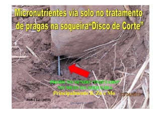 Principalmente B, Zn e Mo
 