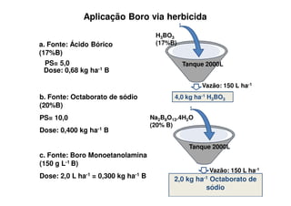 Aplicação Boro via herbicida
b. Fonte: Octaborato de sódio
(20%B)
PS= 10,0
Dose: 0,400 kg ha-1 B
c. Fonte: Boro Monoetanolamina
(150 g L-1 B)
Dose: 2,0 L ha-1 = 0,300 kg ha-1 B
Vazão: 150 L ha-1
Tanque 2000L
H3BO3
(17%B)a. Fonte: Ácido Bórico
(17%B)
PS= 5,0
Dose: 0,68 kg ha-1 B
4,0 kg ha-1 H3BO3
Vazão: 150 L ha-1
Na2B8O13.4H2O
(20% B)
2,0 kg ha-1 Octaborato de
sódio
Tanque 2000L
 