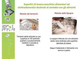 Tampone sterile strisciato su una
superficie di 100 centimetri
quadrati e successivamente
trasferito in provetta al
laboratorio
Superfici di lavoro,macchine alimentari ed
elettrodomestici destinati al contatto con gli alimenti
Metodo del tampone Metodo della Spugna
La spugna imbevuta con una soluzione
sterile viene strofinata sulla superficie
delimitata da testare.
Segue il trattamento in Stomacher e la
semina in piastra
 