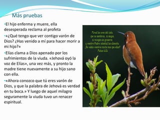 Más pruebas
•El hijo enferma y muere, ella
desesperada reclama al profeta
•«¿Qué tengo que ver contigo varón de
Dios? ¿Has venido a mí para hacer morir a
mi hijo?»
•Elías clama a Dios apenado por los
sufrimientos de la viuda. «Jehová oyó la
voz de Elías», una vez más, y pronto la
madre tiene nuevamente a su hijo sano
con ella.
•«Ahora conozco que tú eres varón de
Dios, y que la palabra de Jehová es verdad
en tu boca.» Y luego de aquel milagro
seguramente la viuda tuvo un renacer
espiritual.
 