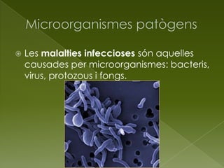  Les malalties infeccioses són aquelles
causades per microorganismes: bacteris,
virus, protozous i fongs.
 