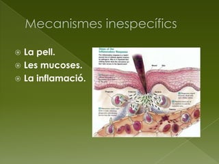  La pell.
 Les mucoses.
 La inflamació.
 
