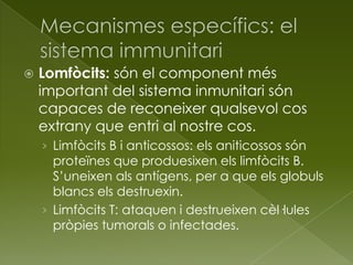  Lomfòcits: són el component més
important del sistema inmunitari són
capaces de reconeixer qualsevol cos
extrany que entri al nostre cos.
› Limfòcits B i anticossos: els aniticossos són
proteïnes que produesixen els limfòcits B.
S’uneixen als antígens, per a que els globuls
blancs els destruexin.
› Limfòcits T: ataquen i destrueixen cèl·lules
pròpies tumorals o infectades.
 