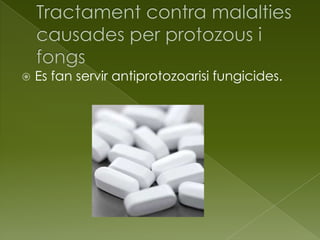  Es fan servir antiprotozoarisi fungicides.
 