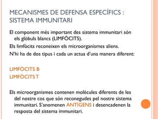 MECANISMES DE DEFENSA ESPECÍFICS :
SISTEMA IMMUNITARI
El component més important des sistema immunitari són
els glòbuls blancs (LIMFÒCITS).
Els limfòcits reconeixen els microorganismes aliens.
N’hi ha de dos tipus i cada un actua d’una manera diferent:
LIMFÒCITS B
LIMFÒCITS T
Els microorganismes contenen molècules diferents de les
del nostre cos que són reconegudes pel nostre sistema
immunitari. S’anomenen ANTÍGENS i desencadenen la
resposta del sistema immunitari.
 