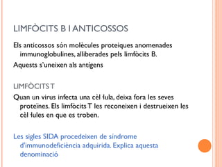 LIMFÒCITS B I ANTICOSSOS
Els anticossos són molècules proteiques anomenades
immunoglobulines, alliberades pels limfòcits B.
Aquests s’uneixen als antígens
LIMFÒCITS T
Quan un virus infecta una cèl·lula, deixa fora les seves
proteïnes. Els limfòcits T les reconeixen i destrueixen les
cèl·lules en que es troben.
Les sigles SIDA procedeixen de síndrome
d'immunodeficiència adquirida. Explica aquesta
denominació
 