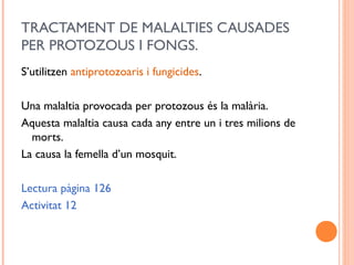 TRACTAMENT DE MALALTIES CAUSADES
PER PROTOZOUS I FONGS.
S’utilitzen antiprotozoaris i fungicides.
Una malaltia provocada per protozous és la malària.
Aquesta malaltia causa cada any entre un i tres milions de
morts.
La causa la femella d’un mosquit.
Lectura pàgina 126
Activitat 12
 