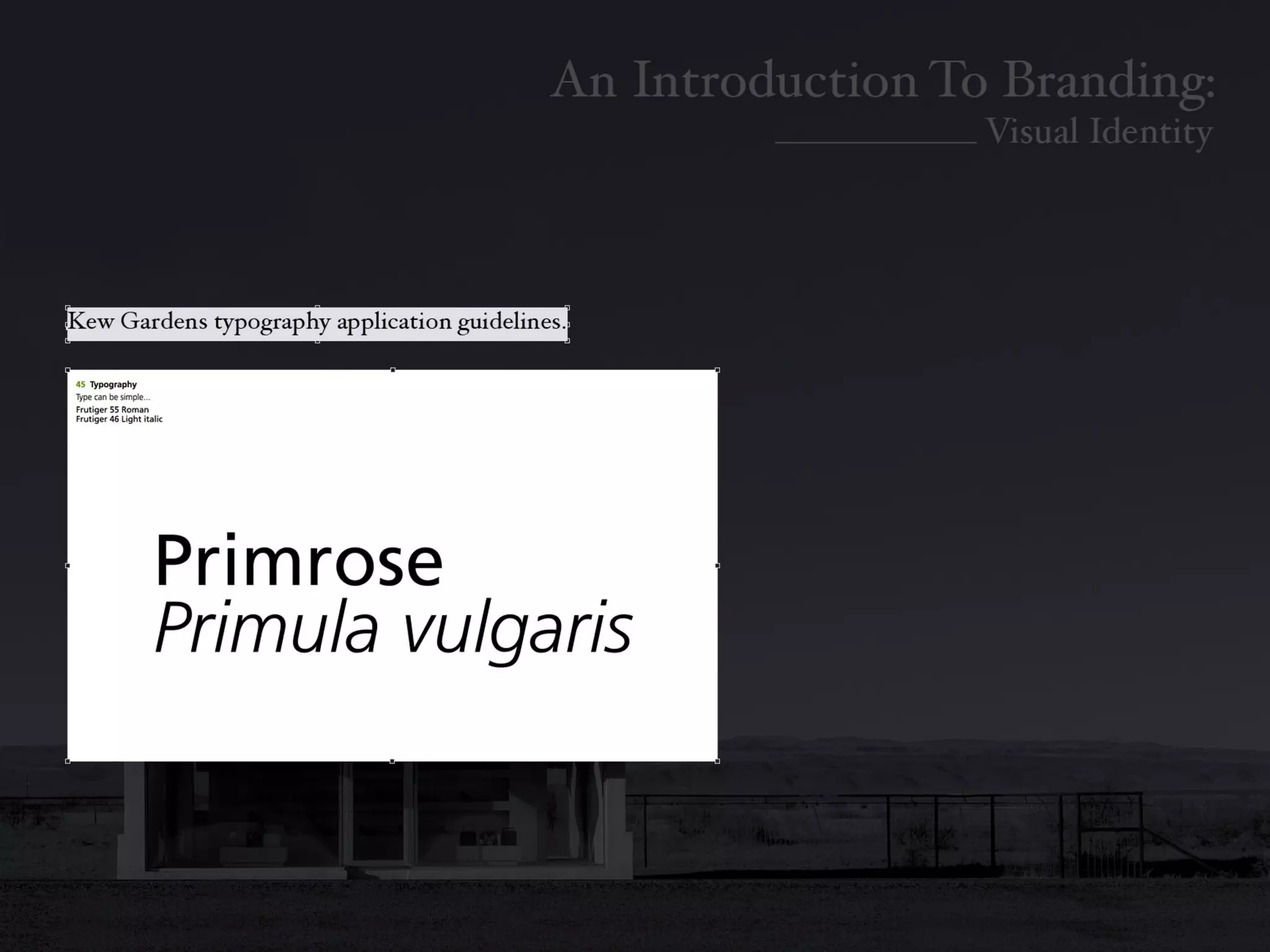 Introduction To Branding: Identity