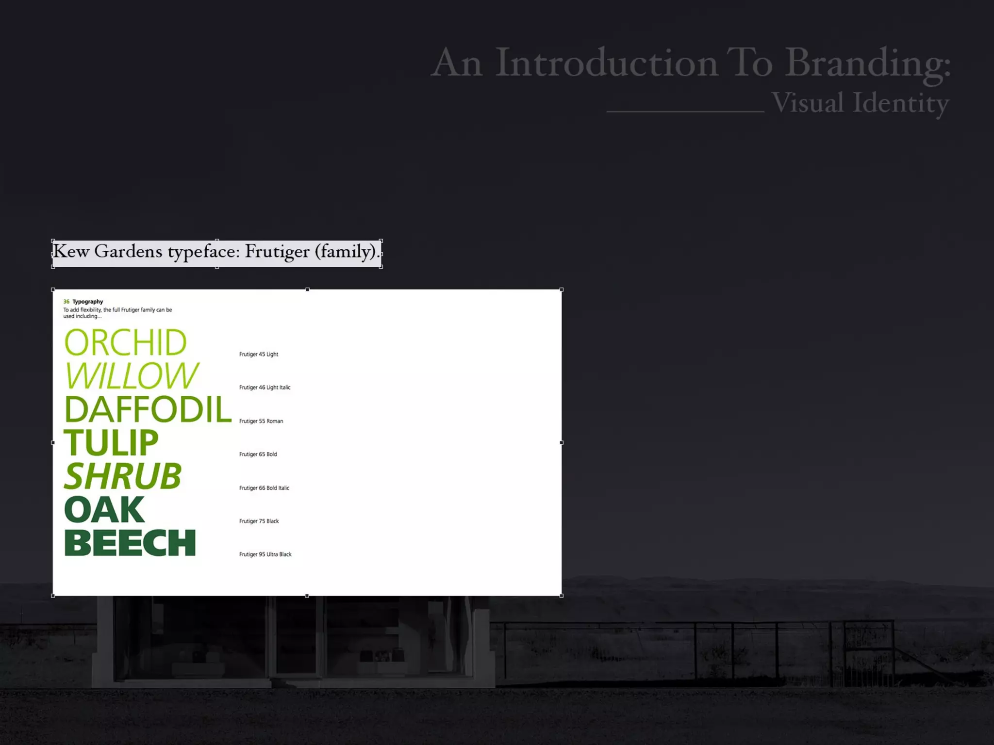 Introduction To Branding: Identity