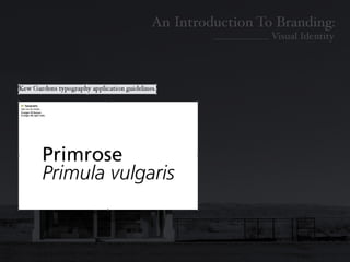 Introduction To Branding: Identity