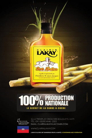 ViV Magazine Volume 4 (April - May 2014)