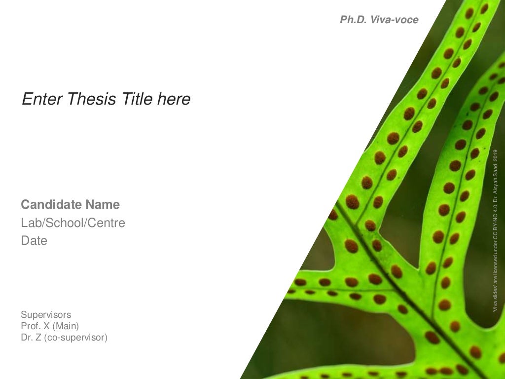 Free VIVA Presentation Templates 1Title Slides