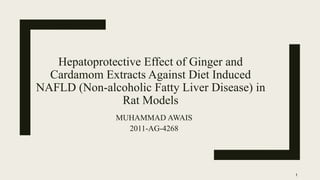 Hepatoprotective Effect of Ginger and
Cardamom Extracts Against Diet Induced
NAFLD (Non-alcoholic Fatty Liver Disease) in
Rat Models
MUHAMMAD AWAIS
2011-AG-4268
1
 
