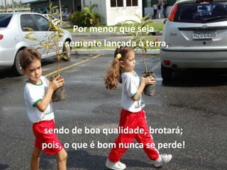 Por menor que seja
   a semente lançada à terra,




sendo de boa qualidade, brotará;
pois, o que é bom nunca se perde!
 