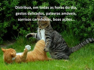 Distribua, em todas as horas do dia,
gestos delicados, palavras amáveis,
 sorrisos carinhosos, boas ações...
 