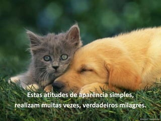 Estas atitudes de aparência simples,
realizam muitas vezes, verdadeiros milagres.
 