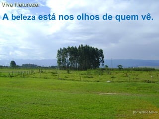 A  beleza  está nos olhos de quem vê. Viva Natureza! por Welton Matos 