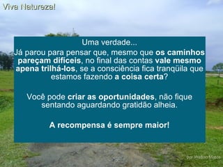 Uma verdade... Já parou para pensar que, mesmo que  os caminhos pareçam difíceis , no final das contas  vale mesmo apena trilhá-los , se a consciência fica tranqüila que estamos fazendo  a coisa certa ? Você pode  criar as oportunidades , não fique sentando aguardando gratidão alheia. A recompensa é sempre maior! Viva Natureza! por Welton Matos 