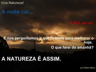 A noite cai... O SOL se vai. E nos perguntamos o que fizemos para melhorar o hoje.  O que farei do amanhã? A NATUREZA É ASSIM. Viva Natureza! por Welton Matos 