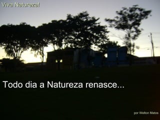 Todo dia a Natureza renasce... Viva Natureza! por Welton Matos 