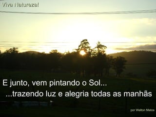 E junto, vem pintando o Sol...  ...trazendo luz e alegria todas as manhãs Viva Natureza! por Welton Matos 