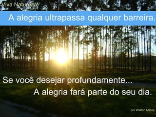 Se você desejar profundamente... A alegria fará parte do seu dia. Viva Natureza! por Welton Matos A alegria ultrapassa qualquer barreira. 
