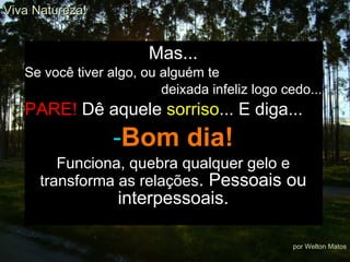Mas... Se você tiver algo, ou alguém te deixada infeliz logo cedo... PARE!  Dê aquele  sorriso ... E diga... Bom dia! Funciona, quebra qualquer gelo e transforma as relações . Pessoais ou interpessoais. Viva Natureza! por Welton Matos 