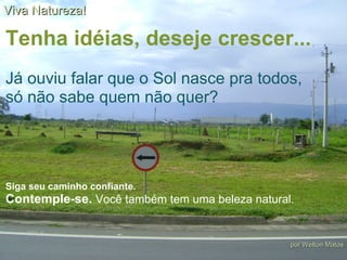 Tenha idéias, deseje crescer...  Já ouviu falar que o Sol nasce pra todos,  só não sabe quem não quer? Siga seu caminho confiante. Contemple-se.  Você também tem uma beleza natural. Viva Natureza! por Welton Matos 