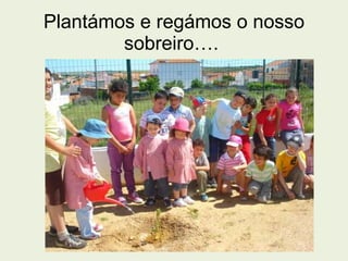 Plantámos e regámos o nosso sobreiro….  