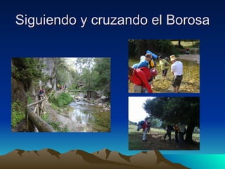 Siguiendo y cruzando el Borosa 