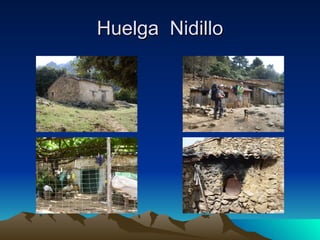 Huelga  Nidillo 