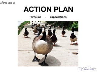 ACTION PLAN
Timeline - Expectations
VIVA Step 2:
 