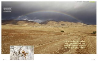 En une journée, nous
vivons toute la palette des
phénomènes atmosphé-
riques: pluie, soleil, vent
et, pour clore en beauté,
un arc-en-ciel au-dessus
de la vallée du Jourdain.
La poussière accrochée
aux chaussures et une
lassitude contre laquelle
on ne doit plus lutter.
Une mante
religieuse
aperçue au bord
du chemin.
RANDONNÉE EN TERRE SAINTE VOYAGER
48 Vivai 2017 Vivai 2017 49
 