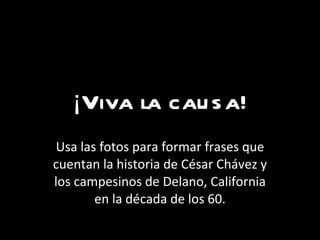 ¡Viva la causa! Usa las fotos para formar frases que cuentan la historia de C ésar Chávez y los campesinos de Delano, California en la década de los 60. 