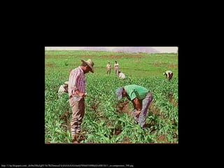 http://1.bp.blogspot.com/_dx9m3MzZg8Y/Ss7RZSmzcuI/AAAAAAAAAmQ/NMs6Y69BbjQ/s400/2611_es-campesinos_390.jpg 