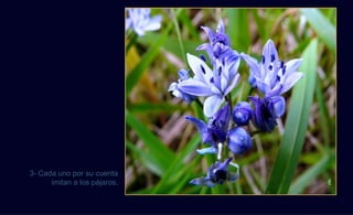 3- Cada uno por su cuenta
      imitan a los pájaros,




                              vte.
 