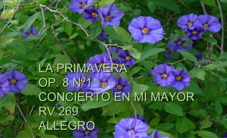 LA PRIMAVERA
OP. 8 Nº1
CONCIERTO EN MI MAYOR
RV 269
ALLEGRO
 