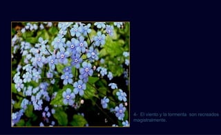 martius
          4- El viento y la tormenta son recreados
          magistralmente,
 