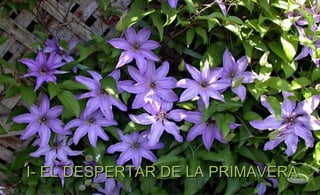 I- EL DESPERTAR DE LA PRIMAVERA
 