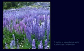 8- junto a la orquesta que repite
lo mismo con cortas notas.
 