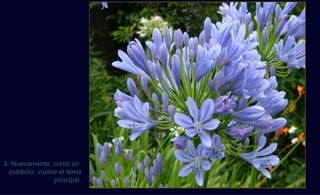 3- Nuevamente, como un
  estribillo, vuelve el tema
                   principal.
 