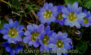 II- EL CANTO DE LOS PÁJAROS
 