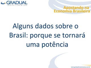 Alguns dados sobre o Brasil: porque se tornará uma potência Apostando na  Economia Brasileira 