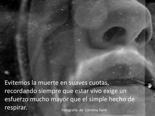 Evitemos la muerte en suaves cuotas, recordando siempre que estar vivo exige un esfuerzo mucho mayor que el simple hecho de respirar.  Fotografía  de  Carolina Tarre