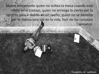Muere lentamente quien no voltea la mesa cuando está infeliz en el trabajo, quien no arriesga lo cierto por lo incierto para ir detrás de un sueño, quien no se permite por lo menos una vez en la vida, huir de los consejos sensatos.  Fotografía  de  euthman