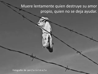 Muere lentamente quien destruye su amor propio, quien no se deja ayudar.  Fotografía  de  por ƒ e r e l m a ƒ e