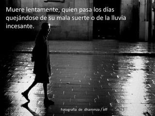 Muere lentamente, quien pasa los días quejándose de su mala suerte o de la lluvia incesante.  Fotografía  de  dhammza / off