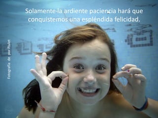 Solamente la ardiente paciencia hará que
conquistemos una espléndida felicidad.
FotografíadeporPiulet
 