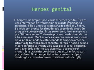 Herpes genital
El herpesvirus simple tipo 2 causa el herpes genital. Ésta es
una enfermedad de transmisión sexual de importancia
creciente. Sólo a veces se acompaña de cefaleas y fiebre.
Se inicia con prurito local moderado seguido de erupción
progresiva de vesículas. Éstas se rompen, forman costras y
por último se secan. Todo este proceso puede durar de una
a tres semanas. Muchas veces aparecen nuevas erupciones
de vesículas cuando se está secando la erupción anterior.
Otra vía de transmisión es connatal: el recién nacido de una
madre enferma se infecta a su paso por el canal del parto,
contrayendo la enfermedad sistémica, que suele ser
mortal. Este grave riesgo obliga a que estos niños nazcan
por cesárea. El herpes genital se trata en forma tópica
desde 1982 y como tratamiento sistémico desde 1984.
 